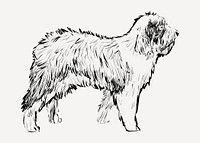 Old English Sheepdog animal illustration vector