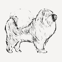 Chow Chow dog animal illustration vector