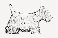 Scottish Terrier dog animal illustration vector