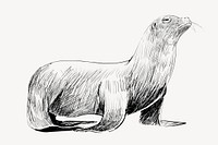 Sea Lion animal illustration vector