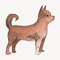 Chihuahua dog animal illustration vector