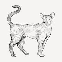 Oriental Shorthair cat animal illustration vector