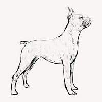 Boxer dog animal illustration vector