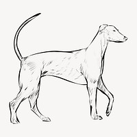 Redbone Coonhound dog animal illustration vector