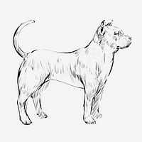 Pitbull dog animal illustration vector