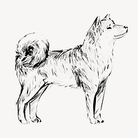 Shiba dog animal illustration vector