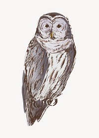 Barred owl animal illustration vector