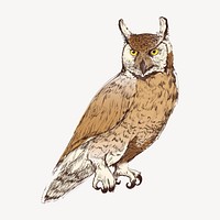 Great Horned owl animal illustration vector