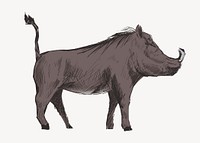 Wild warthog sketch animal illustration psd