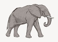 Gray elephant animal illustration vector