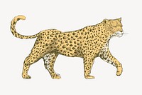 Yellow leopard animal illustration vector