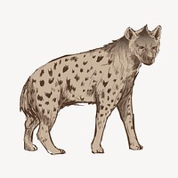 Hyena walking sketch animal illustration psd