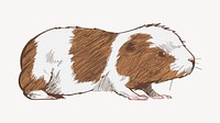Cute hamster sketch animal illustration psd