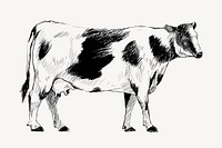 Cow sketch animal illustration vector