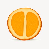 Orange fruit illustration vector. Free public domain CC0 image.