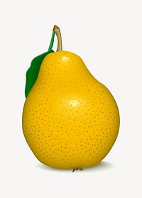 3D pear illustration. Free public domain CC0 image.