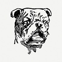 Bulldog clipart illustration psd. Free public domain CC0 image.