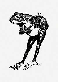 Frog clipart illustration psd. Free public domain CC0 image.