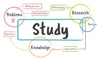 School education study process diagram