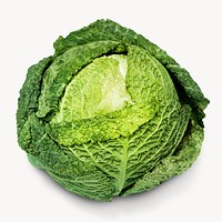 Green cabbage, isolated vegetable image