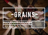 Human Hands Cupping Seed Grains Sharing Helping Feed The World Charity