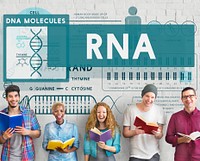 RNA Ribonucleic Physical Molecule Evolution Concept