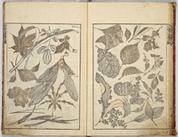 Random sketches by Hokusai volumes 1 to 11. Original public domain image from the MET museum.