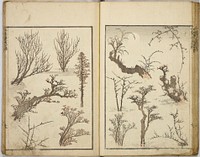 Original public domain image from the MET museum.