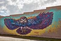                         German Lemus painted the colorful "Cosmic Owl"  mural, one of several art pieces in downtown Kissimmee, Florida, an old citrus-packing town south of Orlando that has grown into the home of several theme parks and other tourist attractions                        