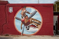                         Sign evoking a World-War II-style fighter plane cartoon outside the Fubar pizza bar in Fort Walton Beach, in the "Panhandle" portion of the state above the Gulf of Mexico                        