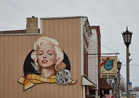                         Even though there are other celebrity-saluting murals, including those of actor John Wayne and author and socialite Emily Post, in Rochelle, Illinois, local artist Franz Volz told the city they had no influence on his decision to honor movie star Marilyn Monroe                        