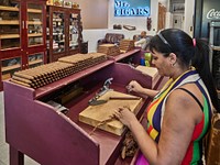                         Magalys Garrido rolls handmade cigars, one of which shop owner Fernando Morales lights and enjoys in the background, at the Mister Cigars store in the historic Little Havana neighborhood of Miami, Florida                        
