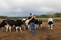                         Ed Henderson raises dairy cows, more than 700 of them, near Live Oak, Florida where he doesn't just feed, milk and clean up after them but he also plays the trombone for them and, as this image attests, they enjoy the concert                        