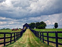                         A classic Kentucky "horse country" scene, featuring long black fences, free-ranging horses, and a black barn near Frankfort, the state capital                        