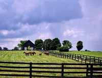                         A classic Kentucky "horse country" scene, featuring long black fences, free-ranging horses, and a black barn near Frankfort, the state capital                        