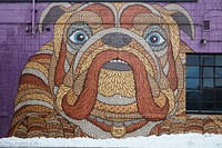                         Artist Chuck U's bulldog mosaic in downtown Minneapolis, which--along with neighboring St. Paul--is one of Minnesota's famous "Twin Cities"                        