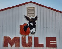                         A remnant of the old Mule Trading Post, a former stop for souvenirs along a surviving section of the old, two-lane U.S. Route 66 in Rolla, a small city in south-central Missouri                        