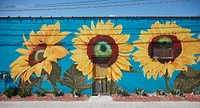                         Colorful art in the revitalized (as of 2021) North Topeka, colloquially NoTo, artsy neighborhood in the Kansas capital city of Topeka                        