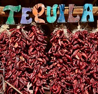                         Real Mexican-style hot peppers, locally called chiles (we say real because many other displays are metal art) are among hundreds of colorful offerings displayed outside the Casa Cristal Pottery home-and-garden roadside store near Velarde in northern New Mexico                        