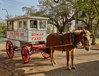                         Well into America's automobile era, this horse-drawn Roman Candy wagon remained a beloved symbol of easygoing New Orleans, Louisiana                        