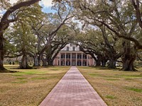                         A famous "allée," French for alley, of 28 live-oak trees leads to the Greek Revival-style manor house at Oak Alley in Vacherie, Louisiana, one of the historic former plantations on the River Road that winds along the Mississippi River in the southern U.S. state                        