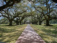                         A famous "allée," French for alley, of 28 live-oak trees leads to the Greek Revival-style manor house at Oak Alley in Vacherie, Louisiana, one of the historic former plantations on the River Road that winds along the Mississippi River in the southern U.S. state                        