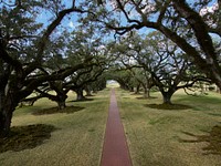                         The canopy, or "allée" in French, of 28 live-oak trees that gives Oak Alley Plantation in Vacherie, Louisiana, its name                        