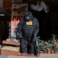                         The connection between this creature and a golf attraction is unclear in Gatlinburg, a small city in southeast Tennessee known as the gateway to the adjacent Smoky Mountains National Park                        