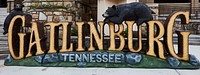                         Black bears are a selling point for Gatlinburg, a small city in southeast Tennessee known as the gateway to the adjacent Smoky Mountains National Park, so long as the bruins are not real                        