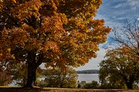                         Fall scene along the Little Tennessee River in Lenoir City, a small city in Tennessee, southwest of larger Knoxville                        