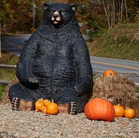                         Fall decorations spruce up an old truck at the entrance to the Oak Haven Resort near the town of Walland, in the foothills of the Tennessee portion of the Great Smoky Mountains                        