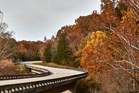                         A winding, elevated stretch of the Natchez Trace Parkway near Hillsboro, Tennessee                        
