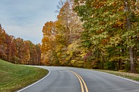                         Curve in the Natchez Trace Parkway near Hillsboro, Tennessee                        