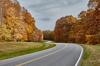                         Curves in the Natchez Trace Parkway near Hillsboro, Tennessee                        